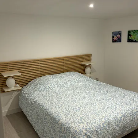 Proximite Rer A , Souplex Tout Confort, 2 Chambres Saint-Maur-des-Fossés Extérieur photo